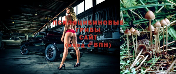 героин Алексин