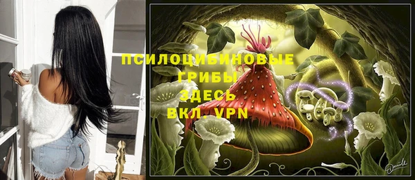 героин Алексин