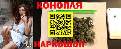 дмт Аргун