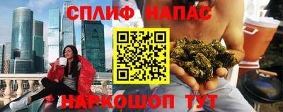 дмт Аргун