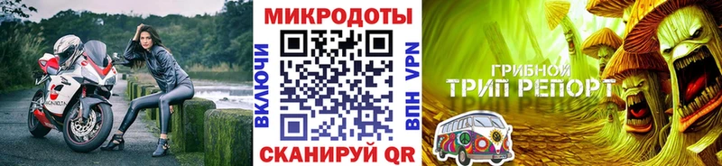 где найти   Белореченск  Галлюциногенные грибы Cubensis 