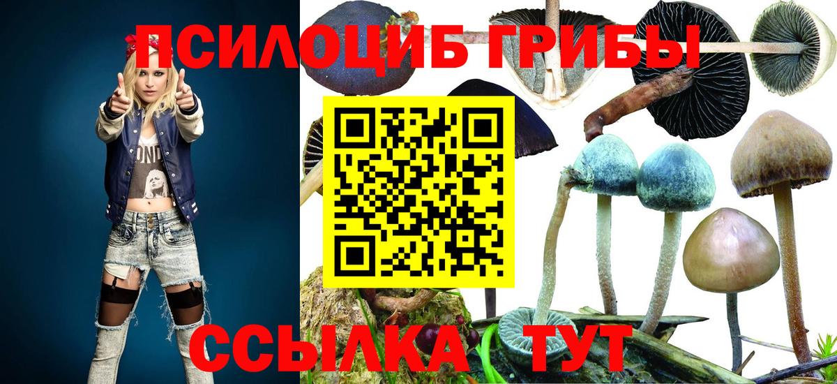 Галлюциногенные грибы мицелий Белореченск