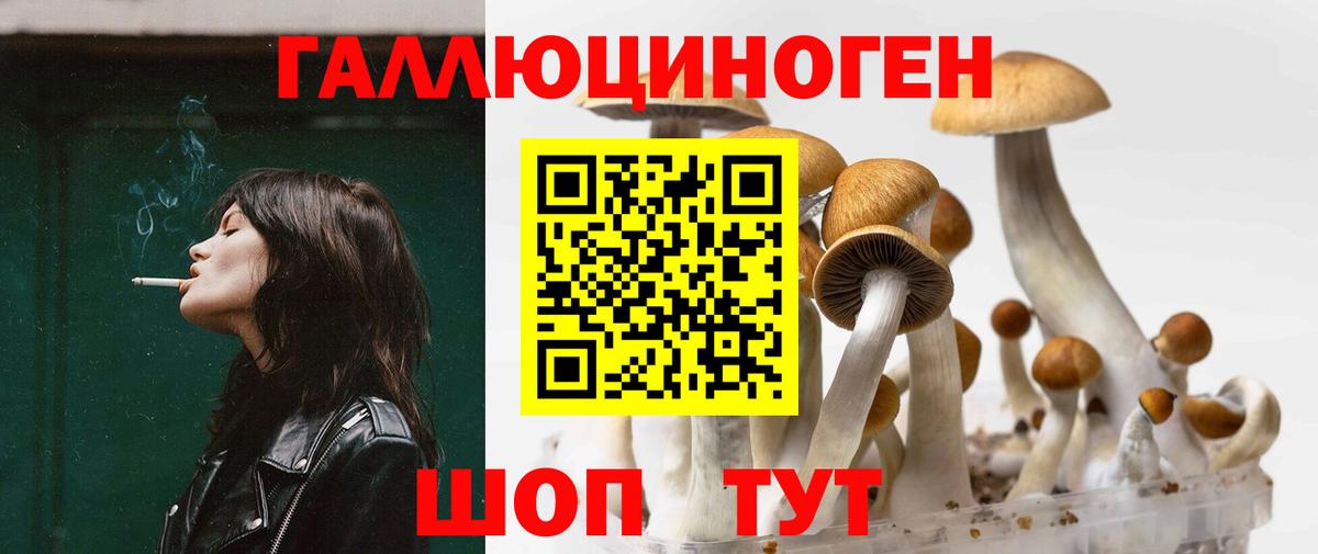 Псилоцибиновые грибы Magic Shrooms  наркошоп  Белореченск  Вход с VPN 