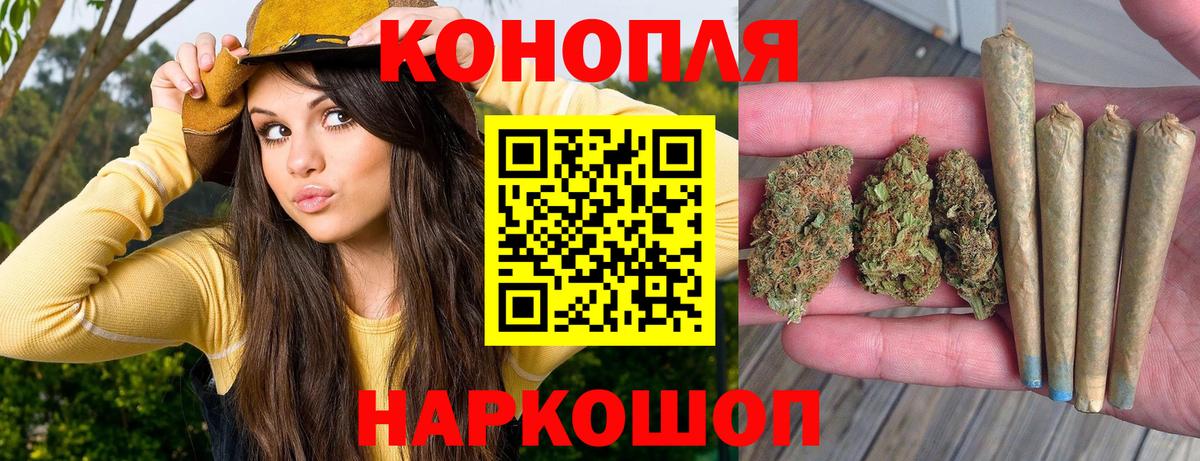 Шишки марихуана конопля Белореченск